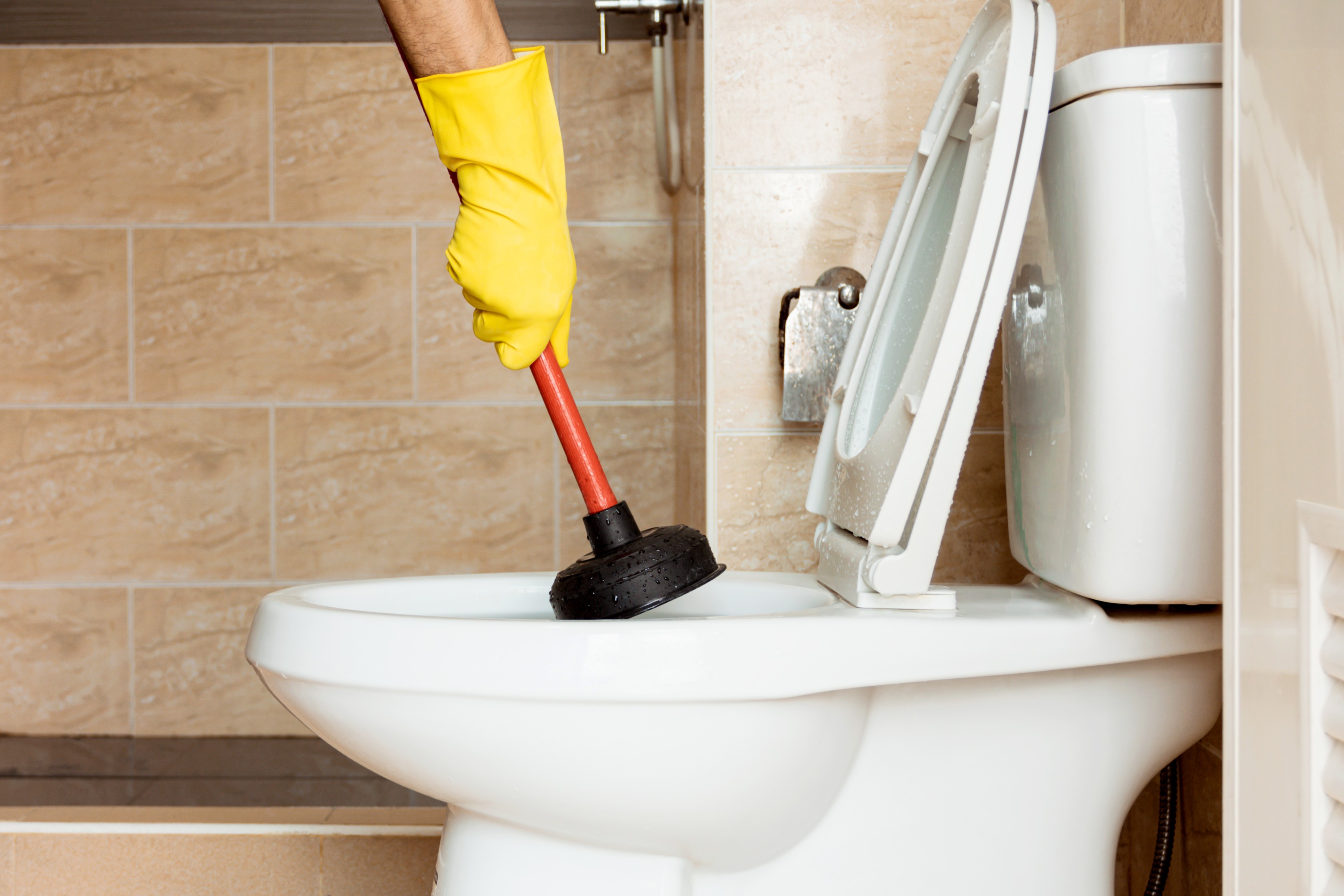 Are you tired of cleaning your own toilet?