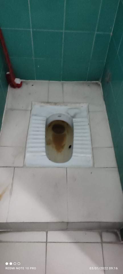 Toliet Cleaning