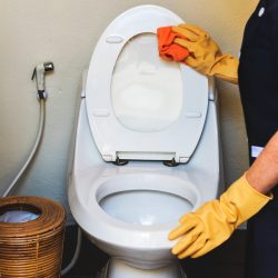 toilet cleaning