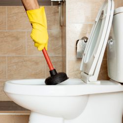 Cleaning your own toilet
