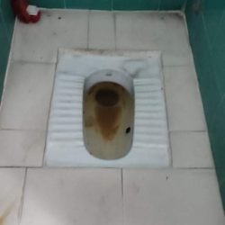 Toliet Cleaning